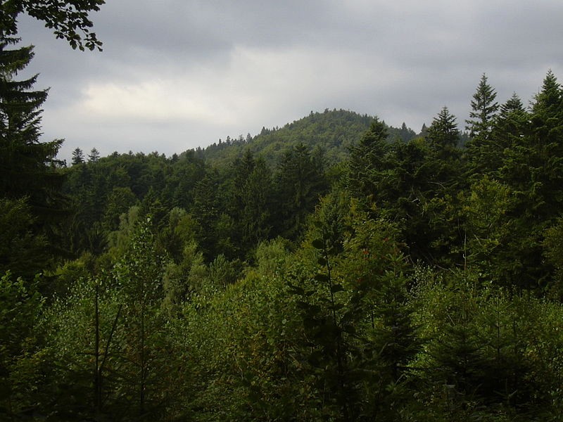 Poznejte kouzlo Střední Moravy