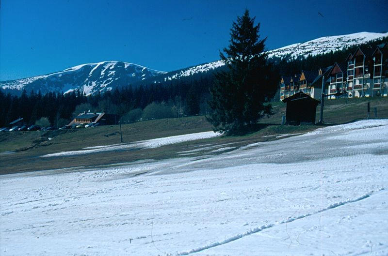 Medvědů se nebojte, ve Ski areálu Medvědín hledejte spíš lyžařské vyžití