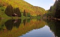 Lake Forest Dedinky