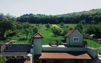Penzion Pod Vinicí - Mikulov (okres Břeclav)