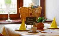 Hotel u Leva