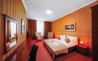 Hotel u Leva