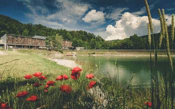Hotel Salamandra