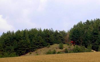 Autor: Ing. Mgr. Jozef Kotulič – Vlastné dielo, CC BY-SA 3.0, https://commons.wikimedia.org/w/index.php?curid=14933318