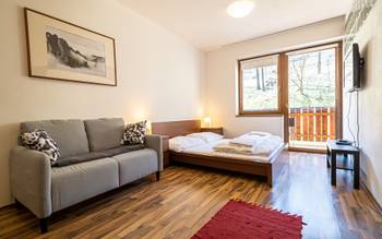 Apartmán Economy s 1 spálňou