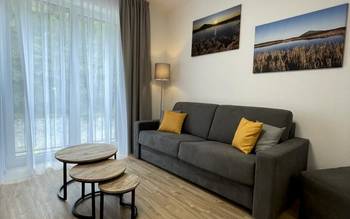 Apartmán 1 ložnice 317