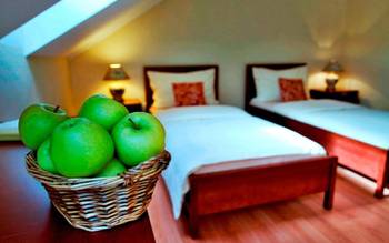 Eco friendly Hotel Dália****