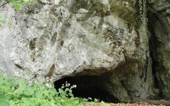 Nietoperze Cave