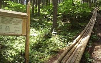 Технічні пам’ятки лісівничого музею Видр