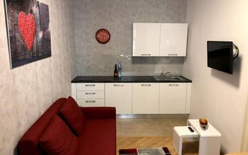 Apartmán s 1 spálňou č. 5