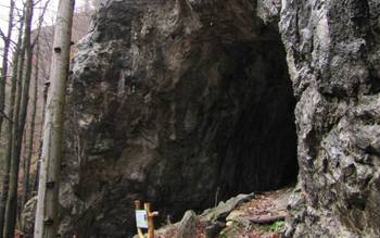 Dekrétová Cave