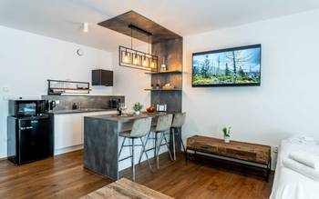 2.05 Slunný jednopokojový apartmán s balkonem