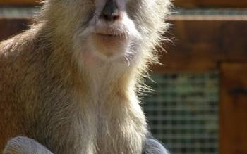 Zoo Košice
