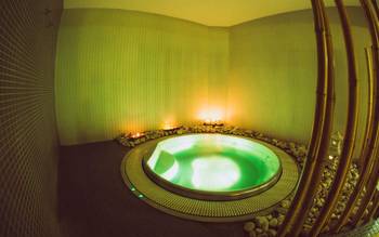 Wellness