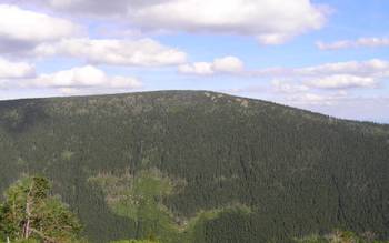 Рожева гора