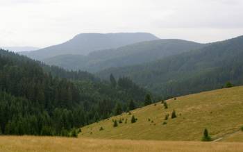 Кленовський Велор