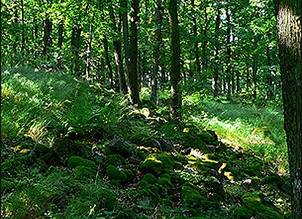 School nature trail to the source Ipľa