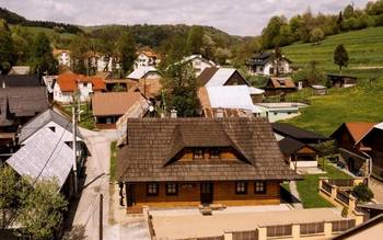 Дерев'яниця у Петра
