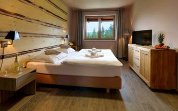 Standard Double s koupelnou