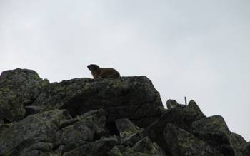 Niskie Tatry