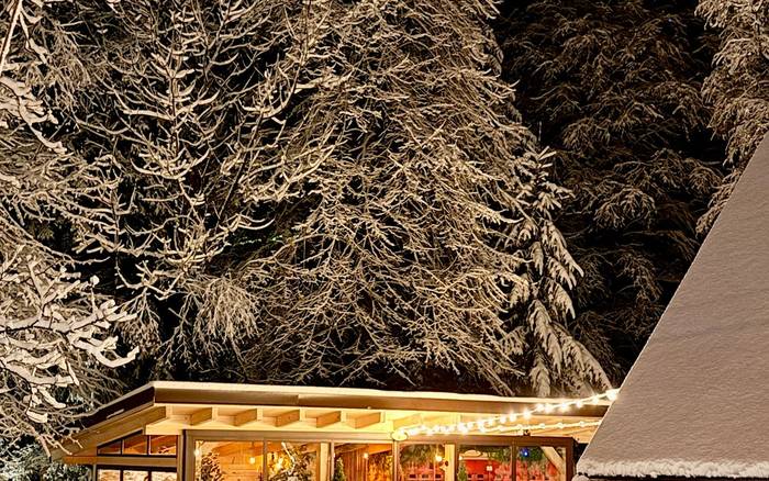 PARADiSE Wellness Chalet - (Сауна&СПА) Терцова