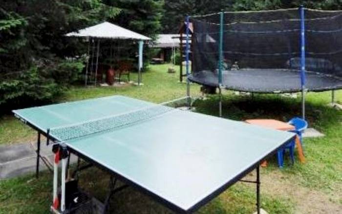 Stolný tenis