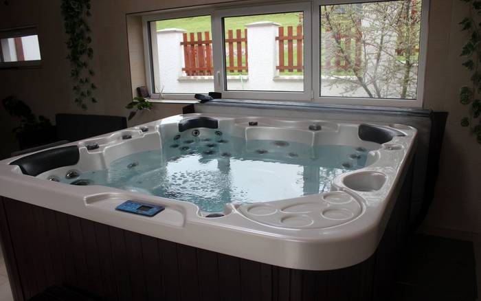 Wellness