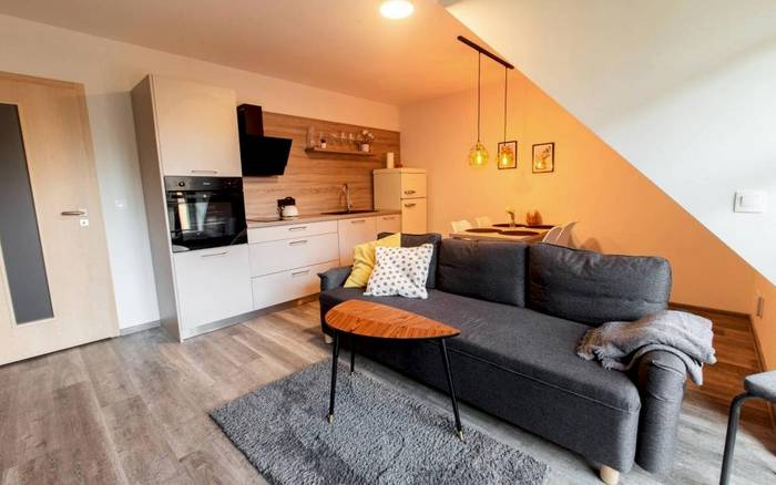 Apartmán Exclusive s balkonem nebo terasou