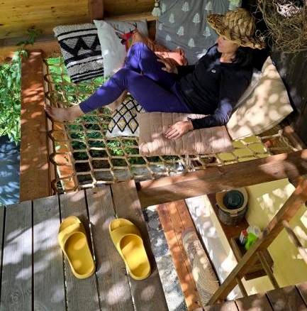 Bydlo s výhľadom do záhrady