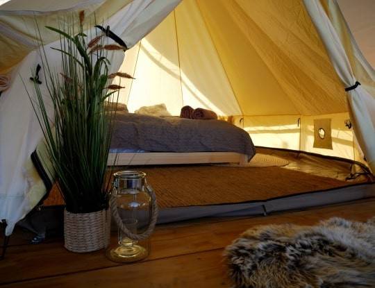 Glamping na kopečku u vinohradu