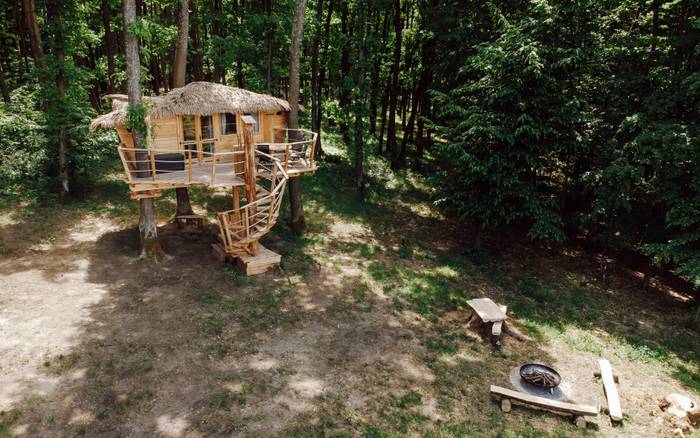 Treehouse IV