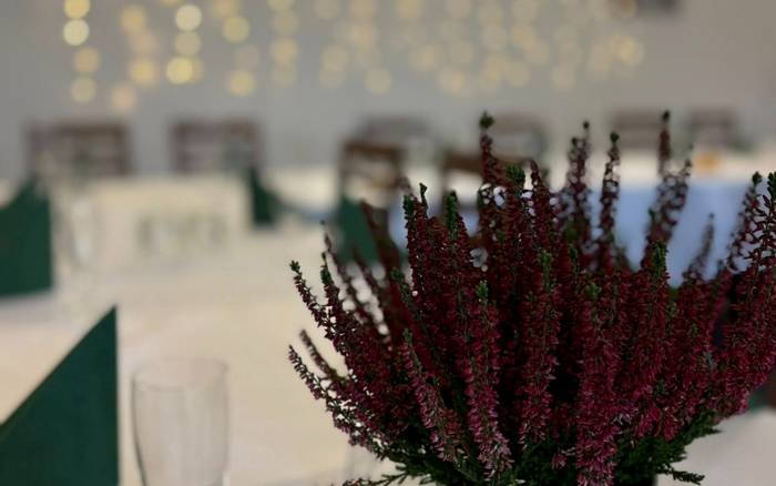 Restaurace