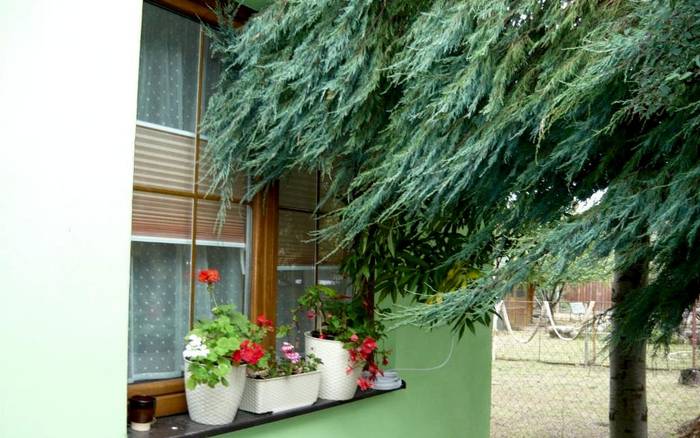 Apartmán s výhledem do zahradyZáhrada