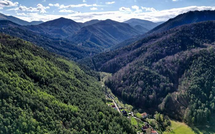 Necpalská dolina