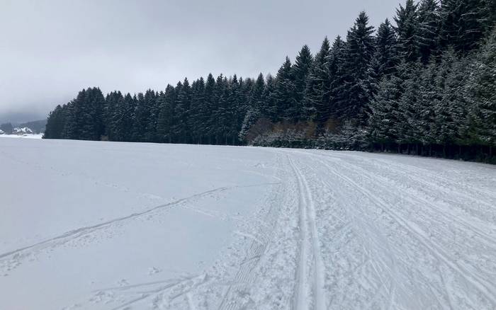 Okolí
