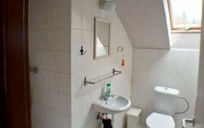 Třílůžkový pokoj v podkroví (pet friendly)