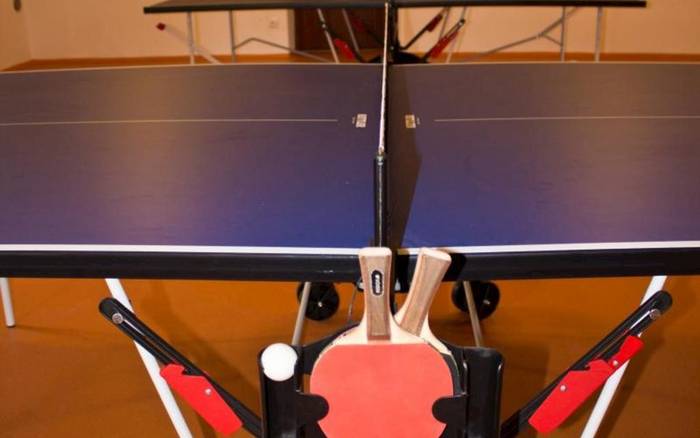 Stolní tenis