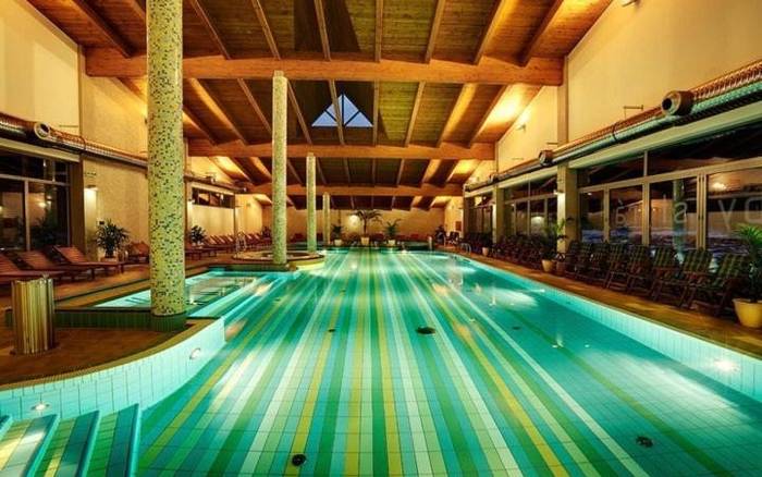Wellness