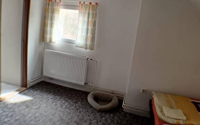 Třílůžkový pokoj v podkroví (pet friendly)