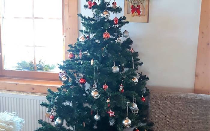 Na Vianoce nesmie chýbať vianočný stromček :)