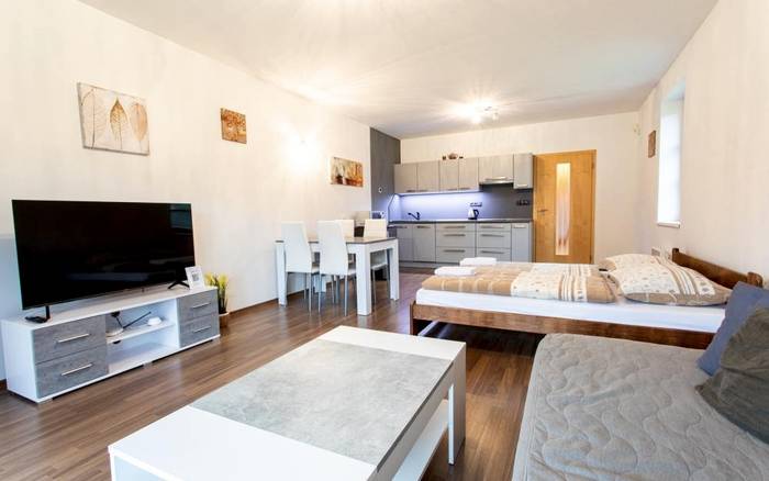 Apartmán 1kk s kuchyňkou