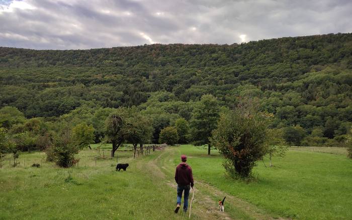 Hiking around the farm