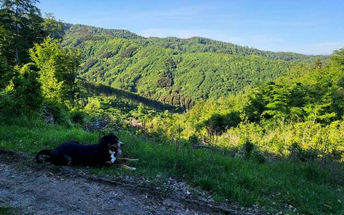 Horská chata v srdci Kremnických hôr