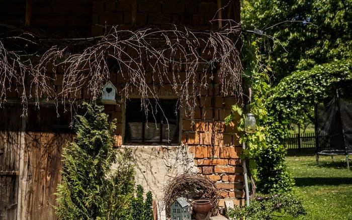 Хатина під лісом