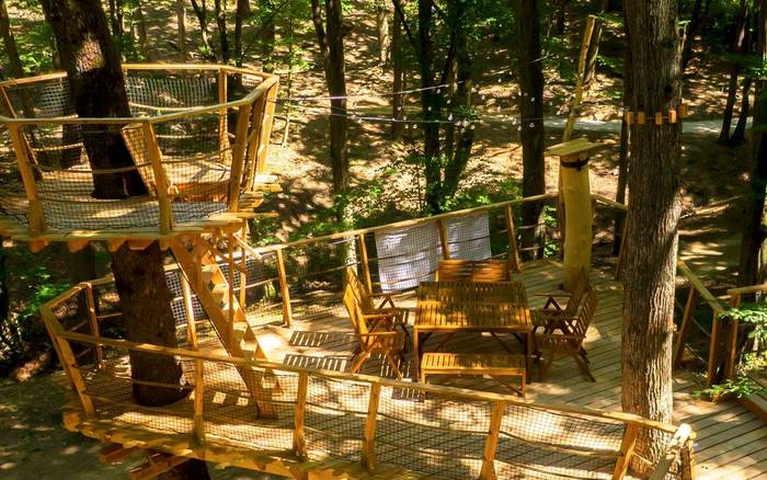 Treehouse VI