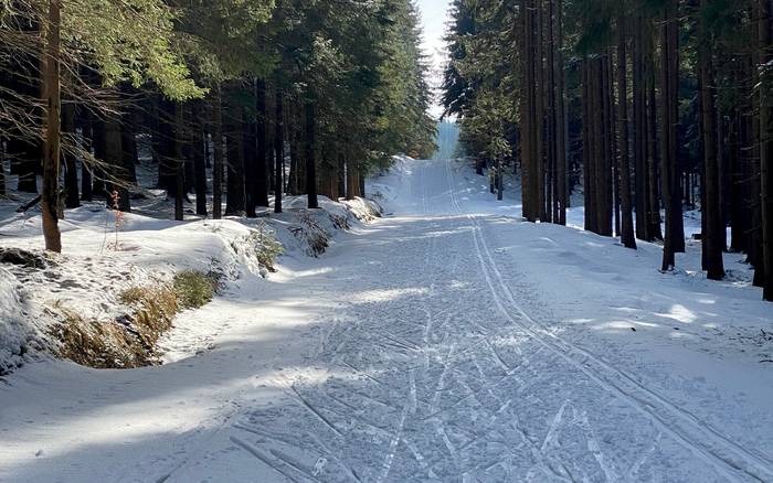 Wellness chata Labská