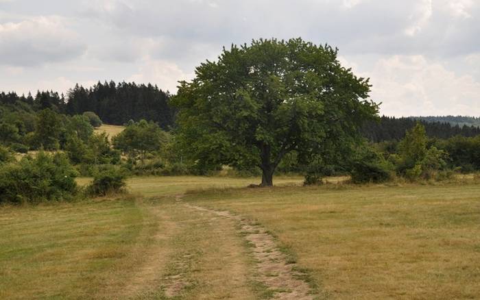 Neplánovane na rozhľadni na Krahulskom štíte