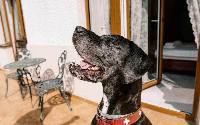 5 Dvoulůžkový pokoj s terasou