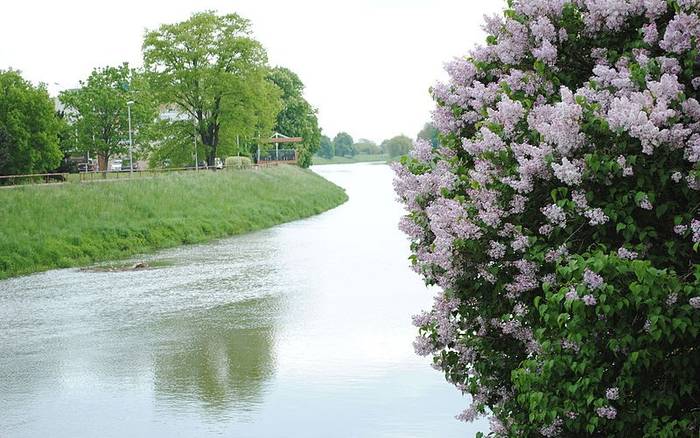 TOP 10 botanických záhrad, arborét a parkov