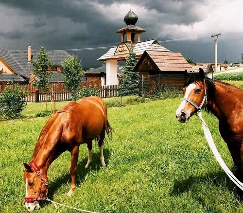 CHALÚPKOVO